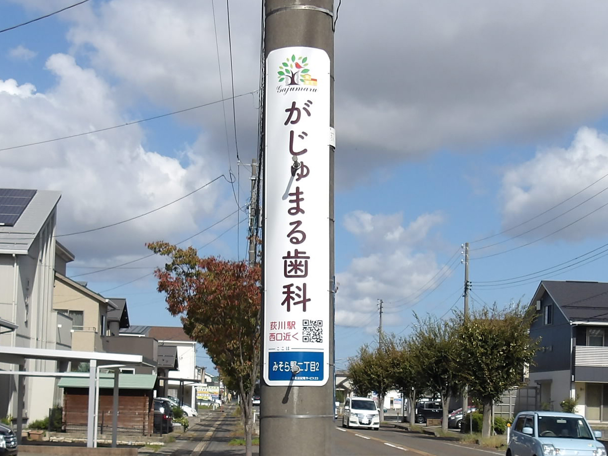 新潟県　がじゅまる歯科　さま